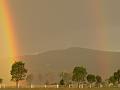 Rainbow, Boonah Fassifern Road P1080057